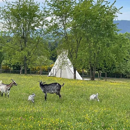 Familial, En Lisiere De Foret, Dans Les Vosges * Biffontaine