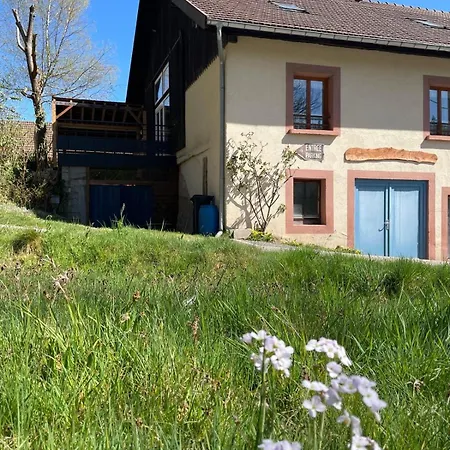 Familial, En Lisiere De Foret, Dans Les Vosges Biffontaine